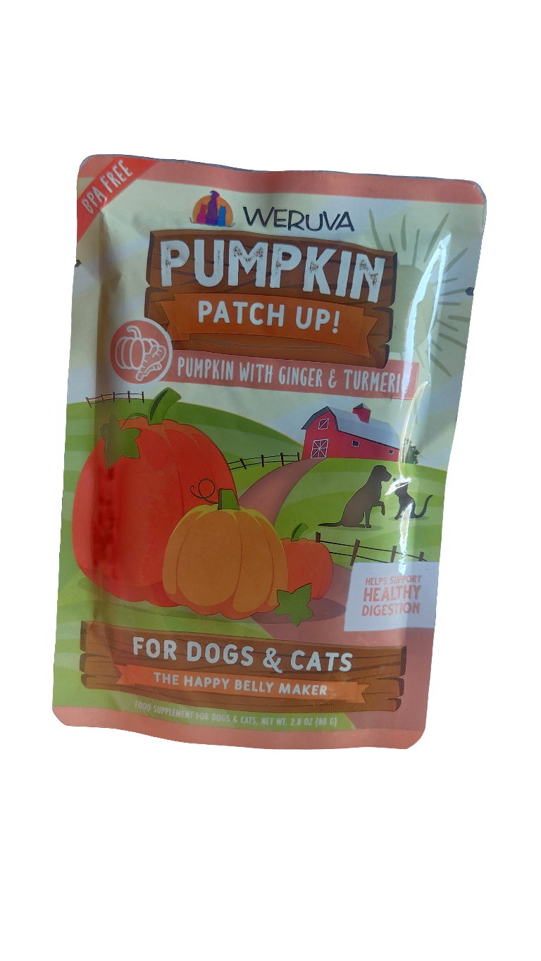 2.8 oz pumpkin, ginger, &turmeric pouch