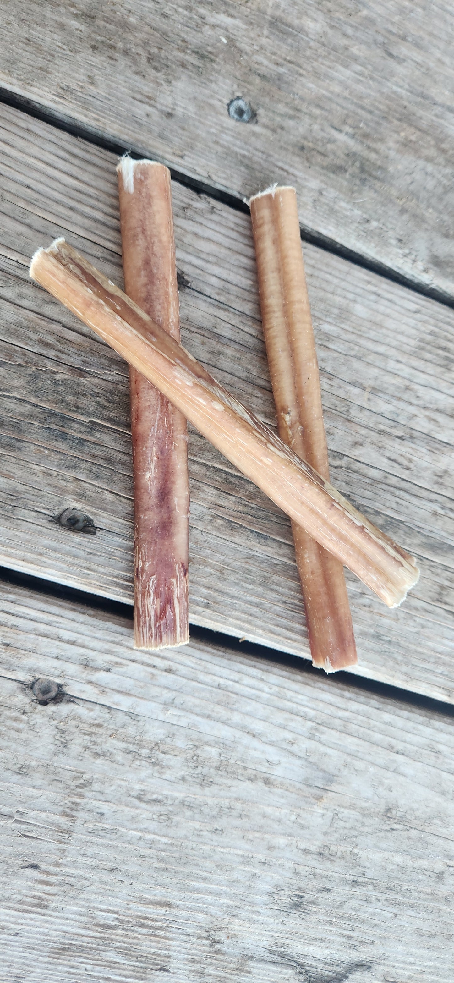 Small Bully Stick (each)