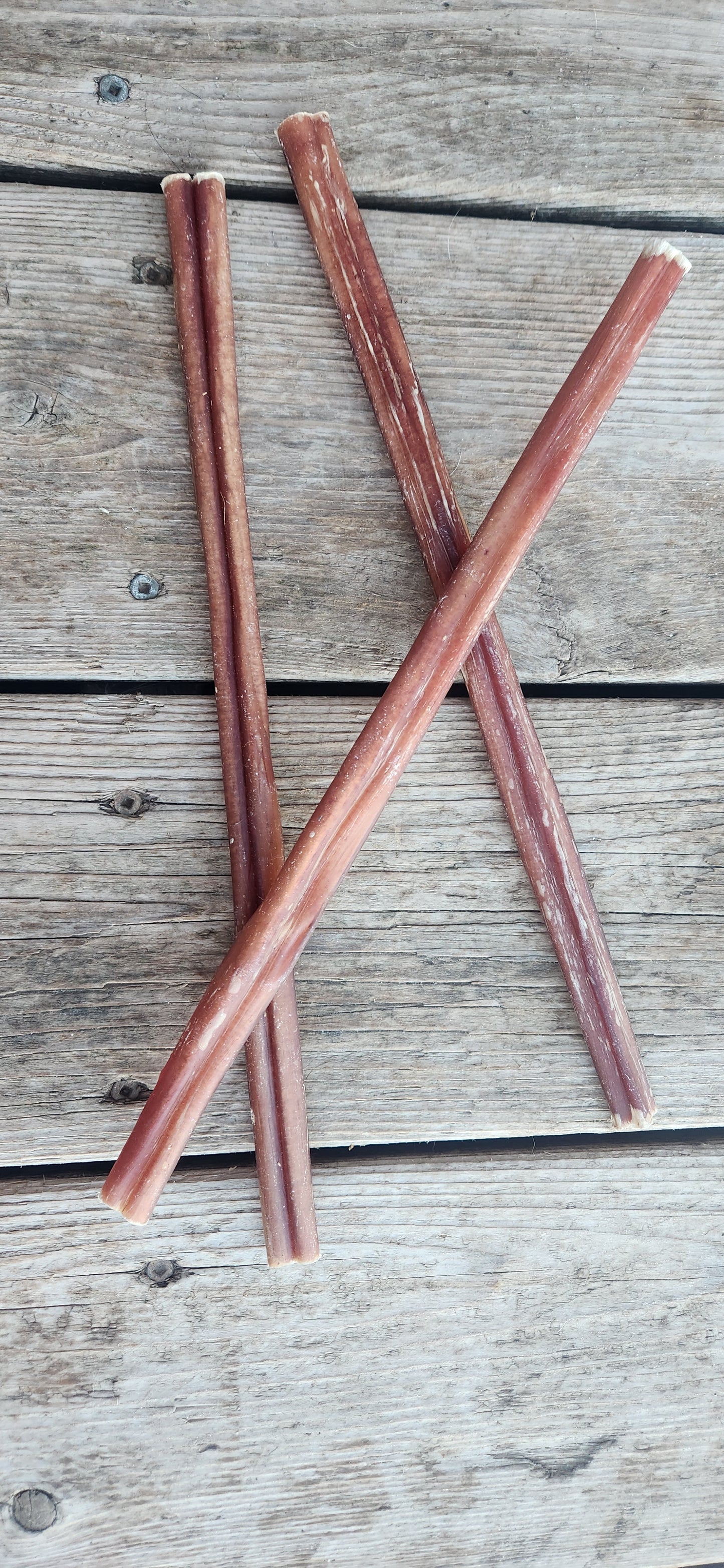 Bully Stick (each)