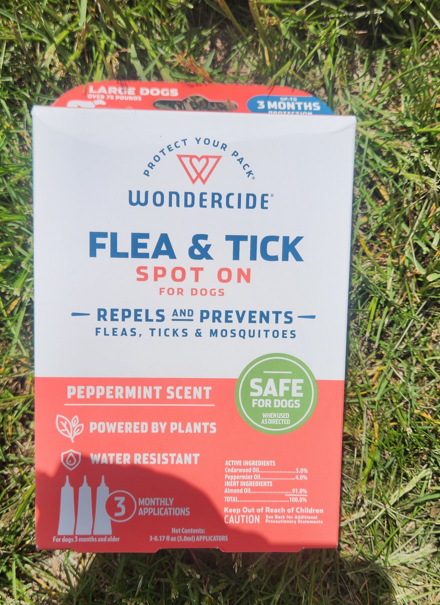 Large dog flea/tick spot on