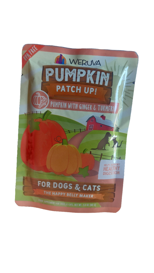 2.8 oz pumpkin, ginger, &turmeric pouch