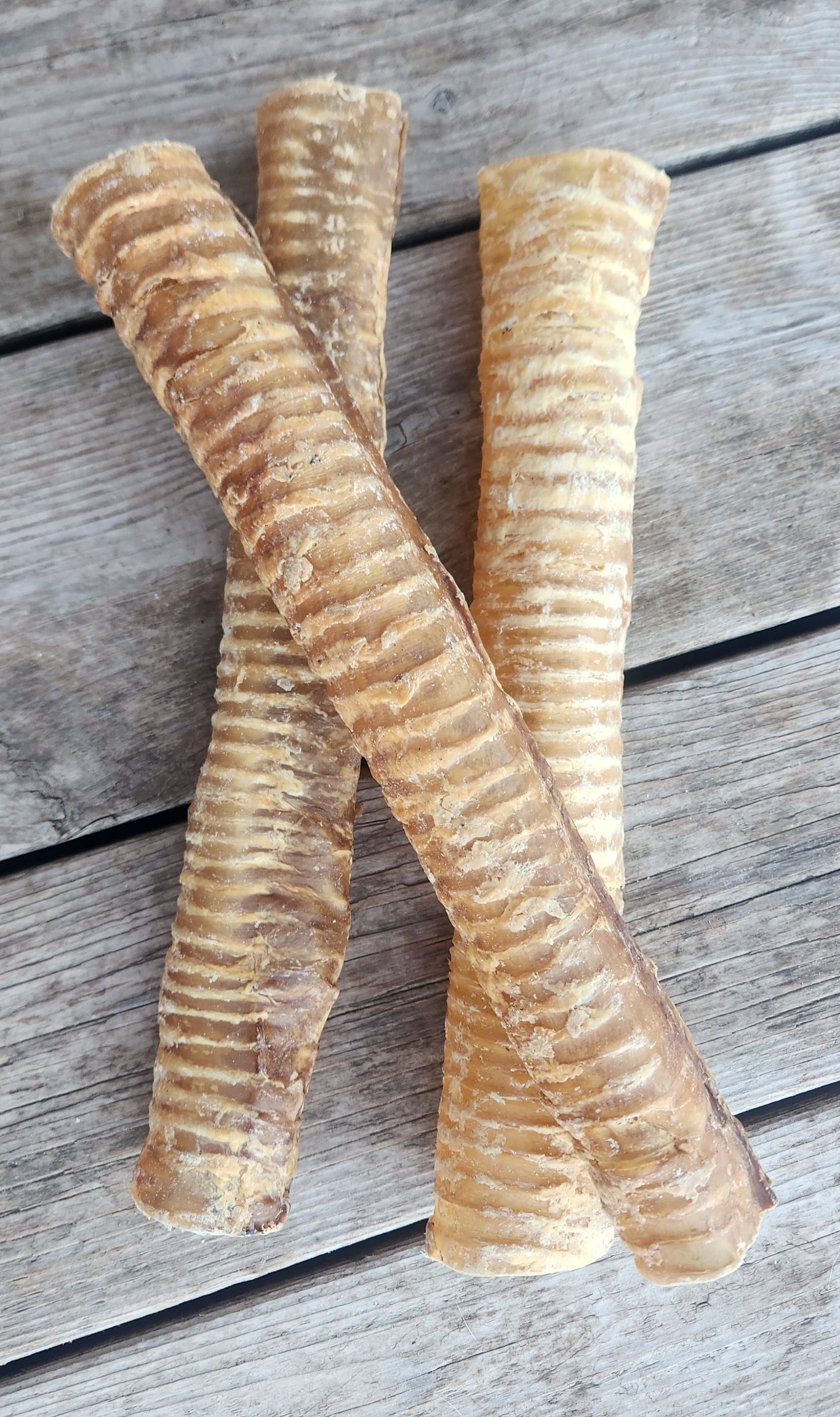 12 inch Beef Trachea (each)