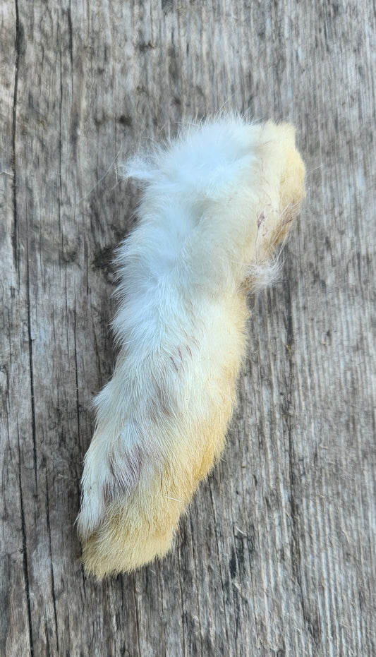 Rabbit Foot