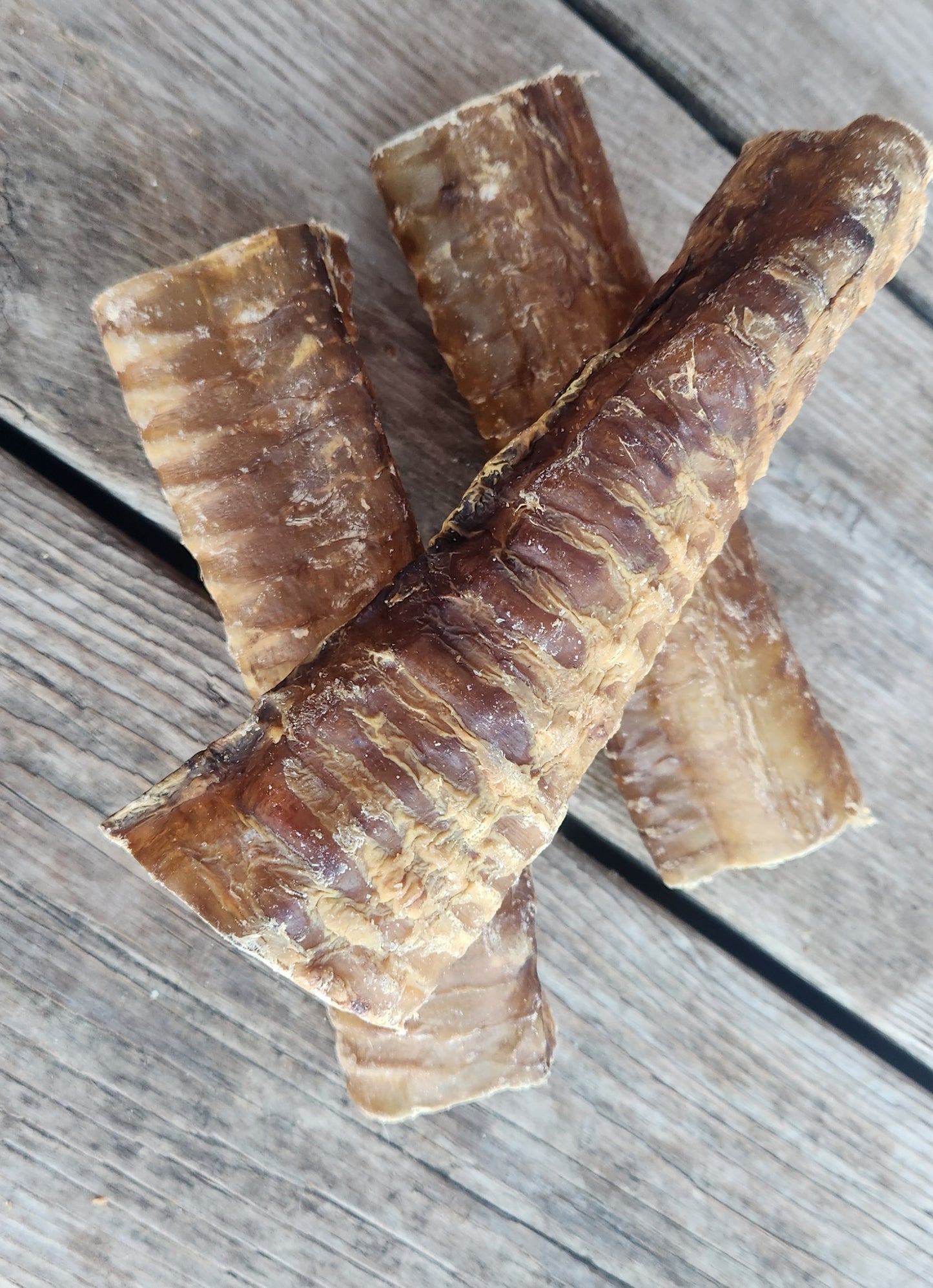 6 inch Beef Trachea (each)