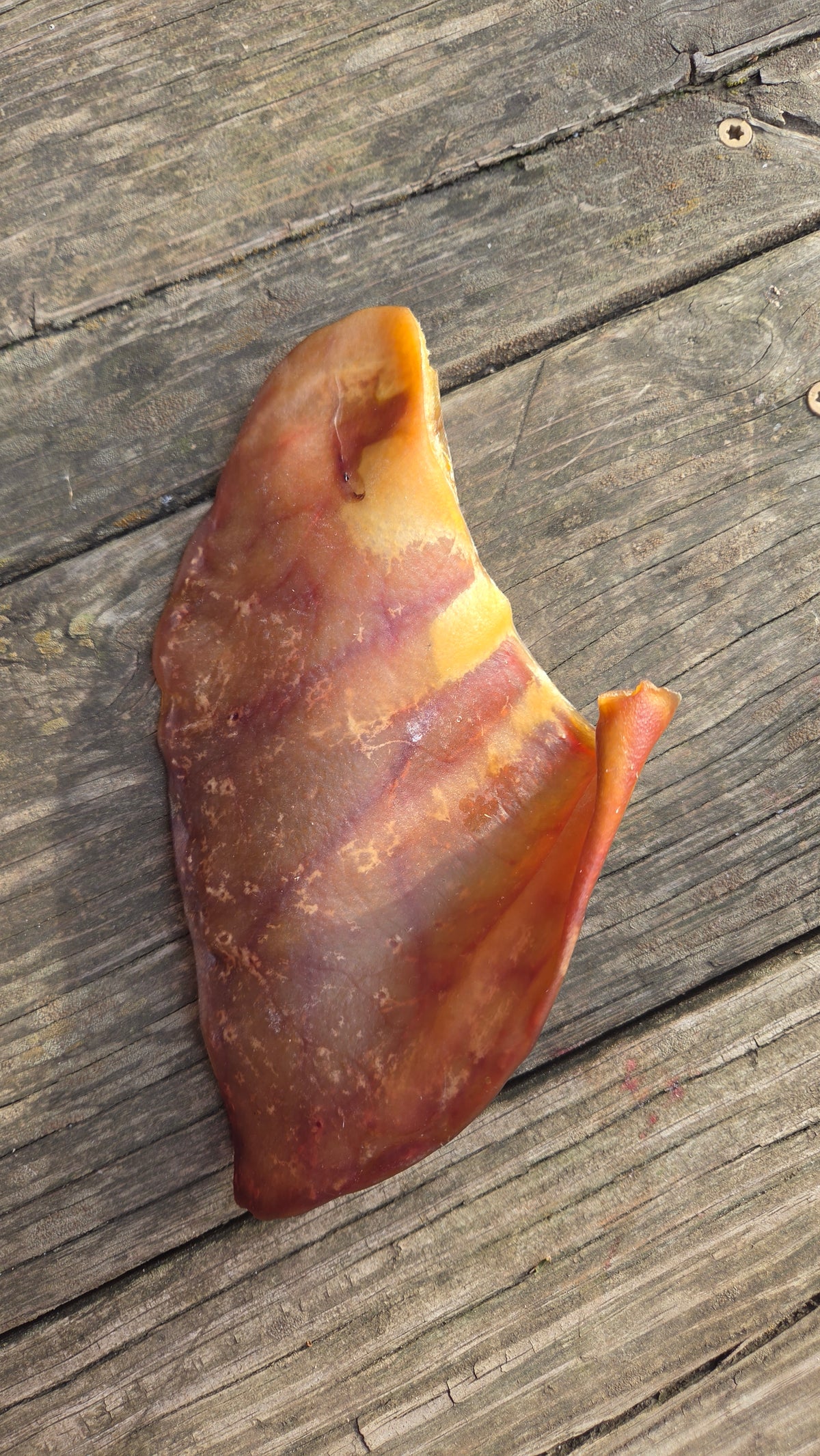 Smoked Pig Ear