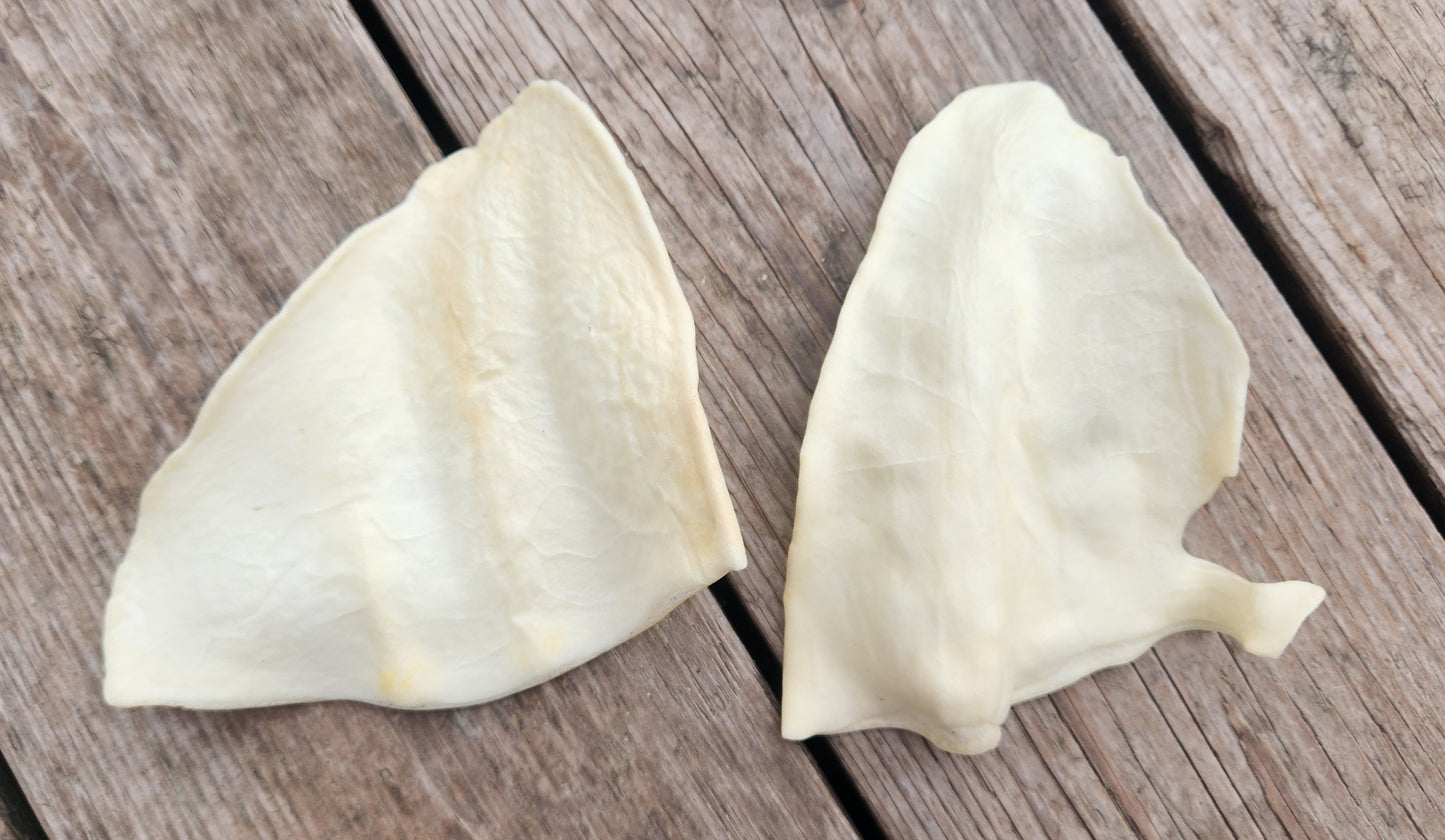 Cow Ear (each)