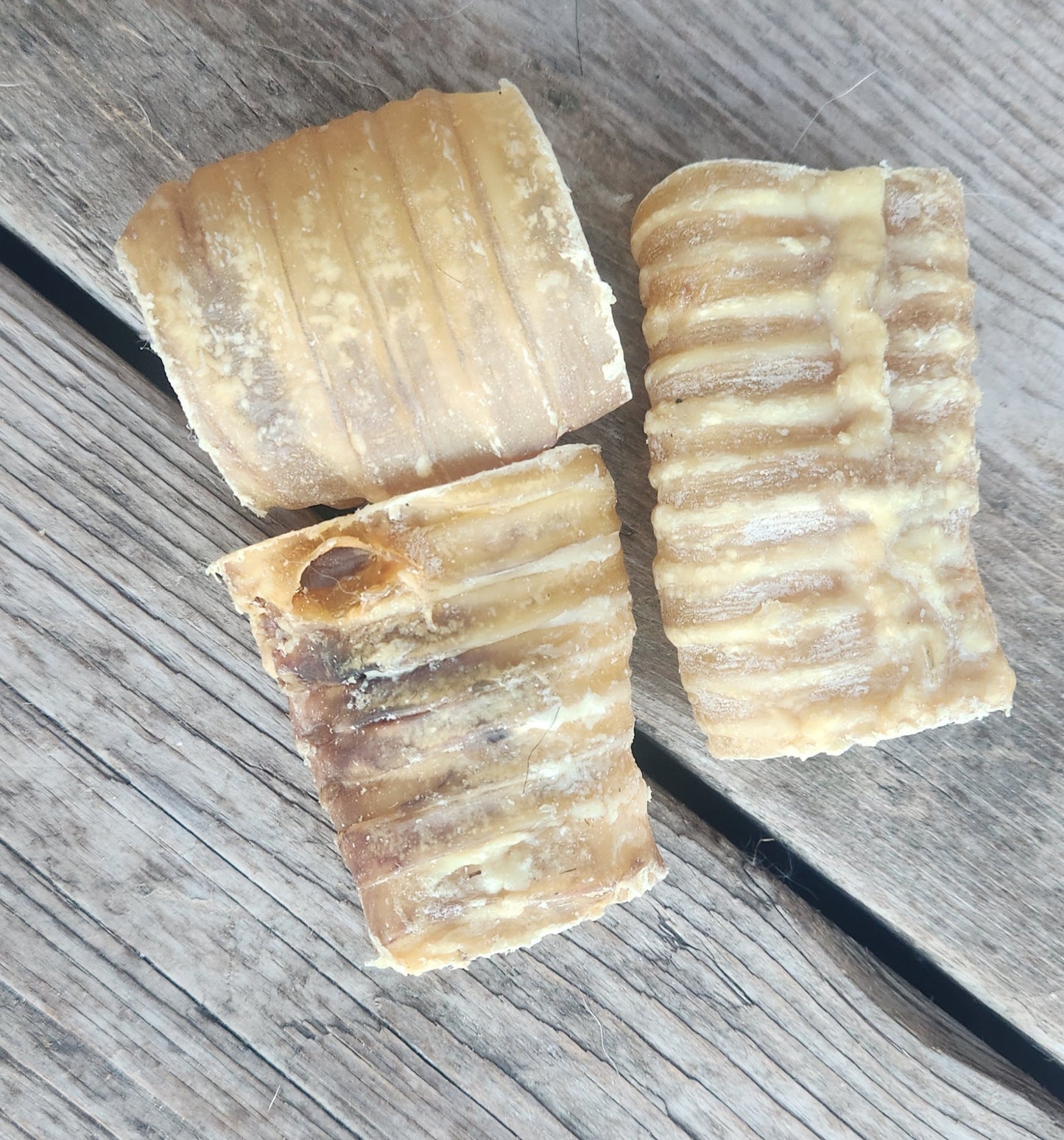 Beef Trachea Bite (each)