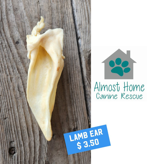 Lamb ear