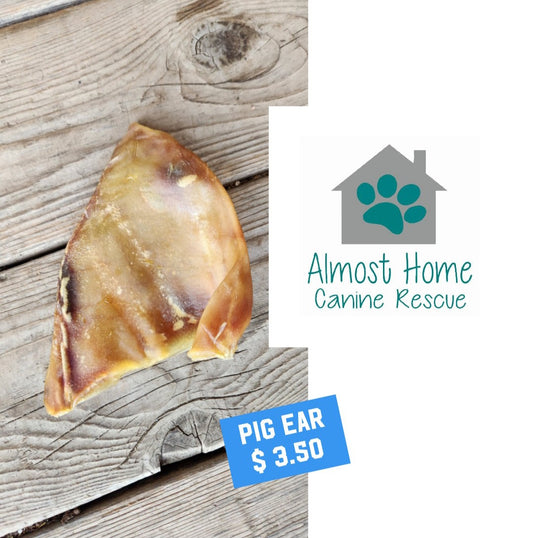 Pig Ear