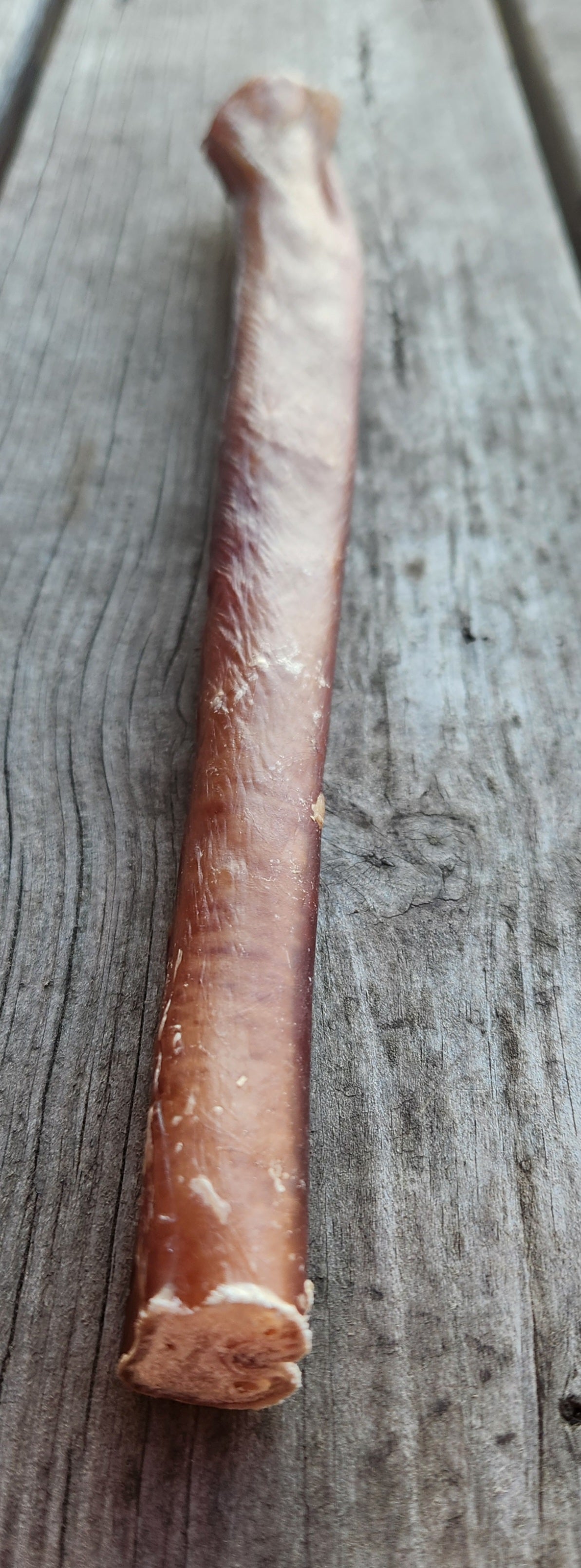 12 inch jumbo bully sticks