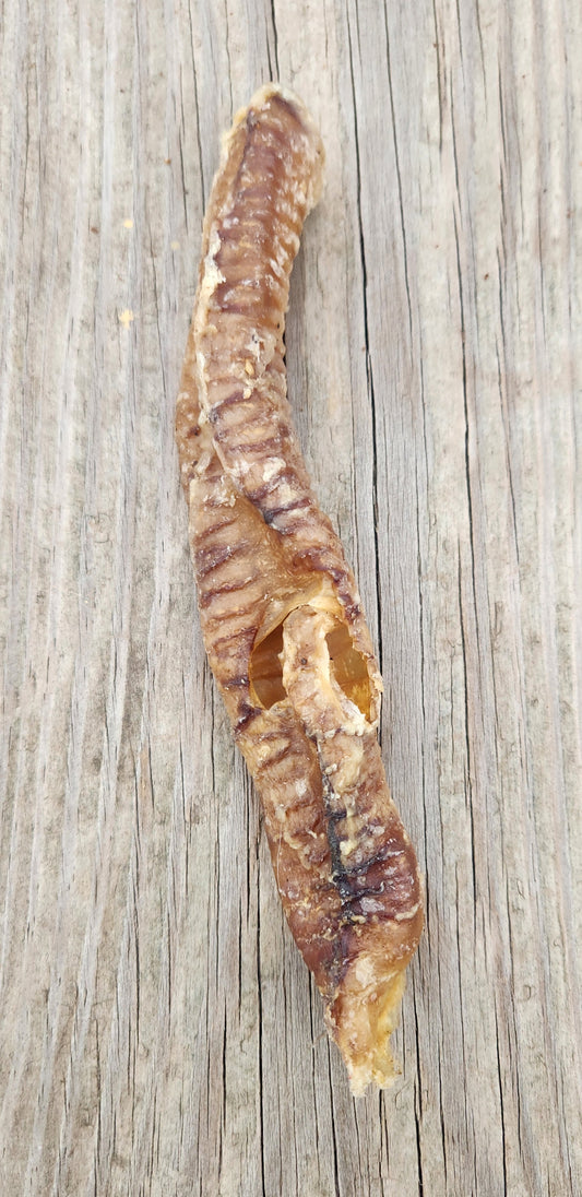 Lamb Trachea